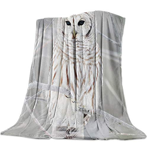 Arts Language Flannel Fleece Throw Blanket for Couch Bed Winter Owl Stand on Dead Branche Soft Cozy Lightweight Bed Blanket for Kids/Girls/Boys/Adults All Seasons Blanket 39"x49"