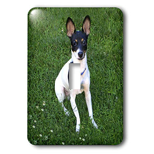 3dRose lsp_3116_1 Toy Fox Terrier 1 Single Toggle Switch