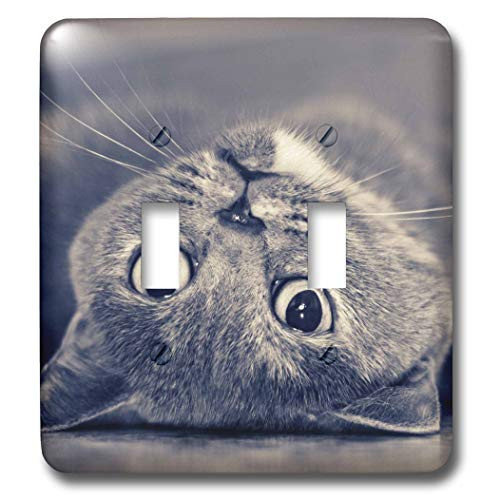 3dRose lsp_23485_2 Upside Down Cat Double Toggle Switch