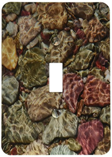 3dRose lsp_190934_1 Toggle Switch