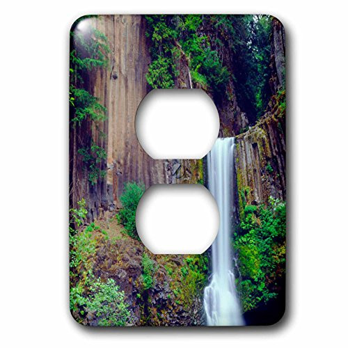 3dRose lsp_205962_6"USA, Oregon, Toketee Waterfall and Basalt Formation 2 Plug Outlet Cover