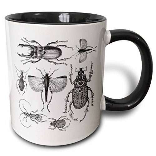 3dRose Vintage Drawing Of Bugs And Beetles In Black And White Ceramic Mug, 11 oz