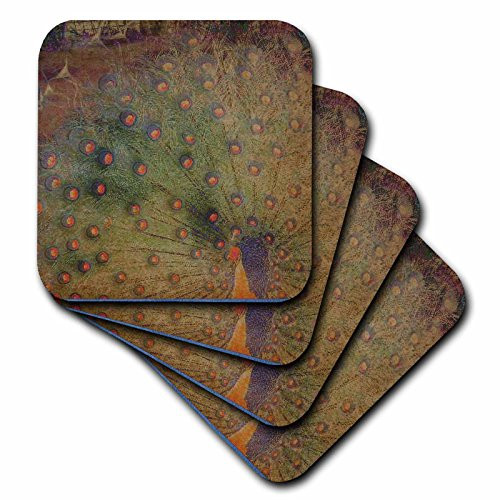 3dRose cst_29422_1 Vintage Peacock Feathers Art Animals Tropical Birds-Soft Coasters, Set of 4