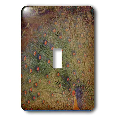 3dRose lsp_29422_1 Vintage Peacock Feathers Art Animals Tropical Birds Toggle Switch, Multi-Color
