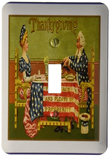 3dRose lsp_80550_1 Vintage Thanksgiving Scene With American Flag n Text Single Toggle Switch