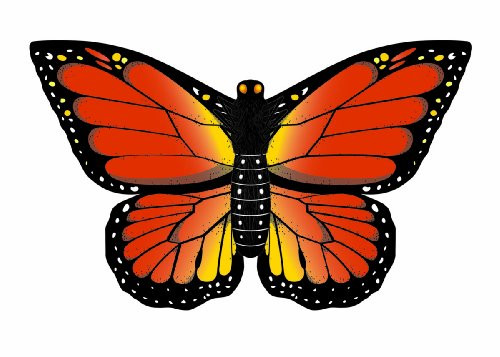 WindNSun Monarch Butterfly Kite