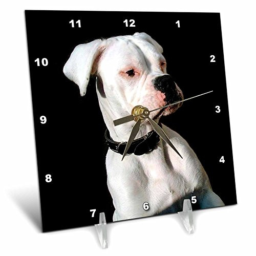 3dRose White Boxer Uncropped Ears Desk Clock, 6 by 6-Inch