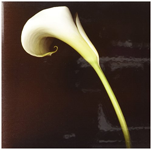 3dRose White Calla Lily Ceramic Tile, 6-Inch