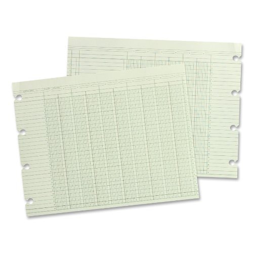Wilson Jones Green Columnar Ruled Ledger Paper, Double Page Format, 16 Columns and 30 Lines per Page, 9.25 x 11.88 Inches, 100 Sheets per Pack (WG10-16A)
