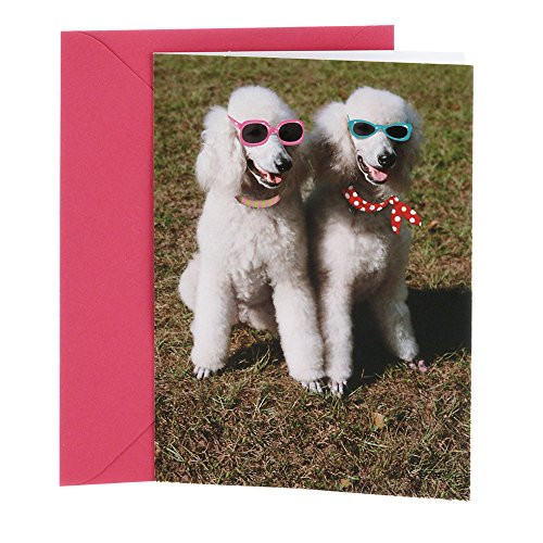 Hallmark Shoebox Friends Birthday Card