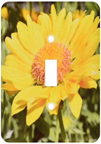 3dRose Lsp_22709_1 Yellow Flower Single Toggle Switch