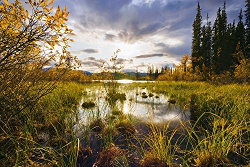 Posterazzi River And Fall Colours At Sunset Yukon Poster Print, (17 x 11)