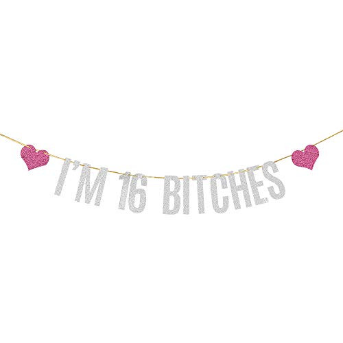 Silver Glitter I'm 16 Bitches Banner Happy 16th Birthday Banner Cheers to 16 Years Teenager Funny Birthday Theme Party Decorations