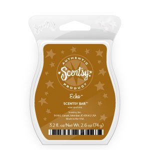 Scentsy Echo Scentsy Bar