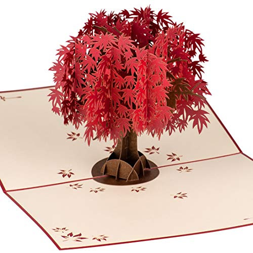 Red Maple Tree by DEVINE Popup Cards | Happy Wedding Anniversary Card for Wife Husband | Mothers Day Card | 3D Birthday Card for Mom |Pop Up Birthday Cards for Women |3D Cards Love Pop Up Cards Gifts