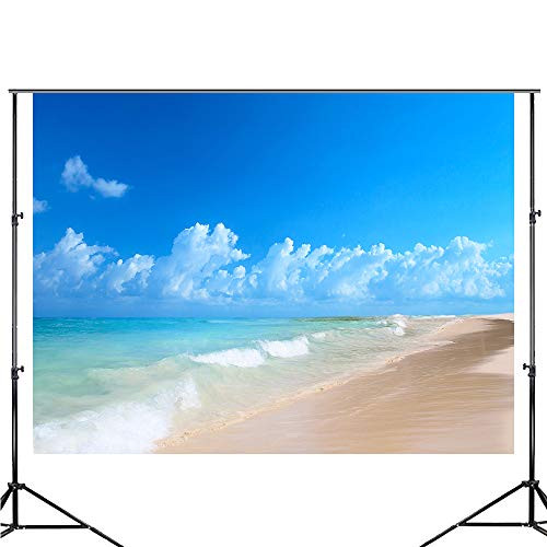 DZJYQ 6.5x5ft(2x1.5m) Gorgeous White Cloud Beach Ocean Sea Wave Holiday Tour Birthday Party Wedding Portrait Backdrop Photography Background 466