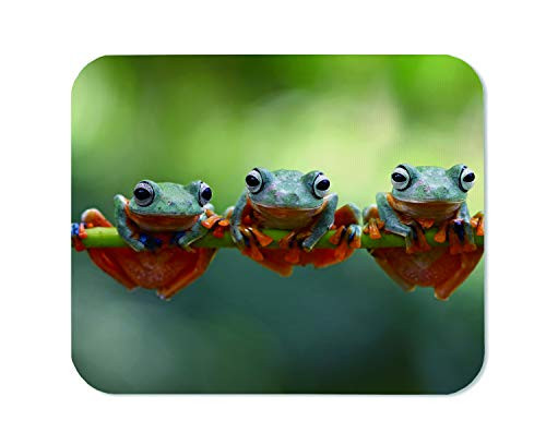 Yeuss Tree Toad Mouse Pad Rectangular Non-Slip Mousepad, Java Tree Frog Flying Frog On Branch Gaming Mouse Pads, Yellow Gray Green,200mm x 240mm