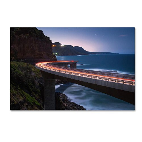 Trademark Fine Art To The Light by Joshua Zhang, 12x19-Inch Canvas Wall Art Trademark Fine Art To The Light by Joshua Zhang, 12x19-Inch Canvas Wall Art