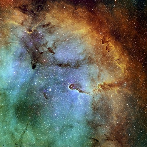 Posterazzi IC 1396 The Elephant Trunk Nebula in Hubble-palette color mapping Poster Print, (14 x 14)