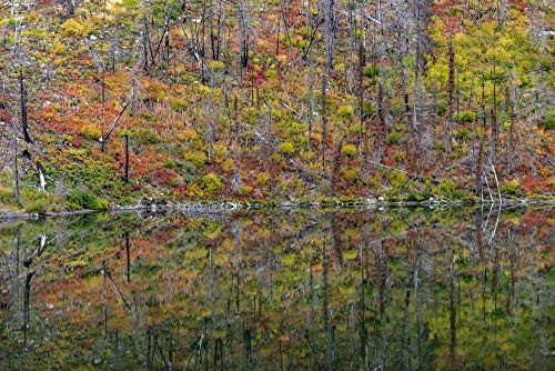 Posterazzi PDDUS27CHA4183 Autumn Colors Reflecting into Lost Lake in Glacier National Park, Montana, USA Photo Print, 18 x 24, Multi