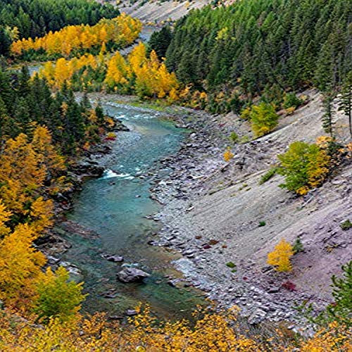 Posterazzi PDDUS27CHA4350 Autumn Color Along The Middle Fork of The Flathead River in Glacier National Park, Montana, USA Photo Print, 18 x 24, Multi