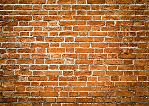 SJOLOON Backdrops for Photoshoot Red Brick Wall Backdrop Birthday Party Decoration Banner Studio Props Brick Backdrop for Photography 11872 (8x6FT) SJOLOON Backdrops for Photoshoot Red Brick Wall Backdrop Birthday Party Decoration Banner Studio Props Brick Backdrop for Photography 11872 (8x6FT)