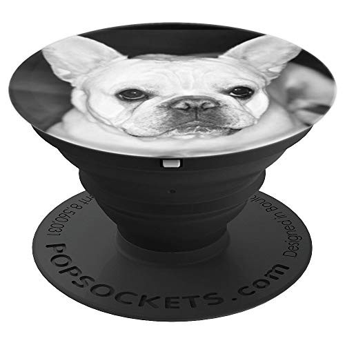 Black and White Cream Frenchie Fremch bulldog PopSockets Grip and Stand for Phones and Tablets