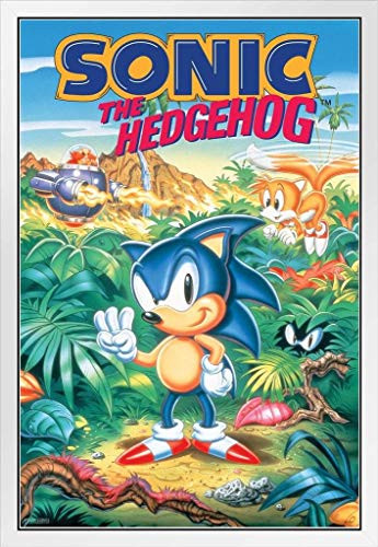 Pyramid America Sonic The Hedgehog Sonic 3 Box Art Video Game Gaming White Wood Framed Poster 14x20