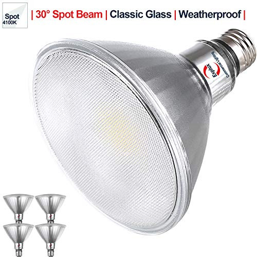 Explux Classic Full Glass PAR38 LED Spot Light Bulbs, Dimmable, Indoor/Outdoor, 90W Equivalent, 4100K Cool White, 4-Pack