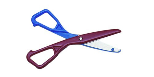 Charles Leonard Children's Safety Scissors, 5.50 Inch, Assorted Colors, 12-Pack (77512)