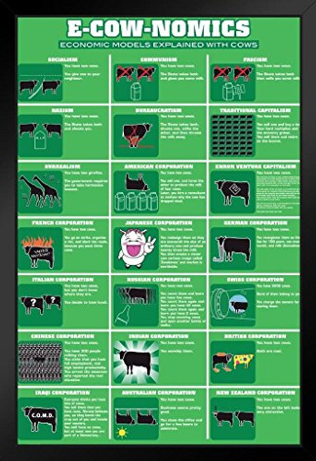 Pyramid America ECowNomics Humor Black Wood Framed Poster 14x20