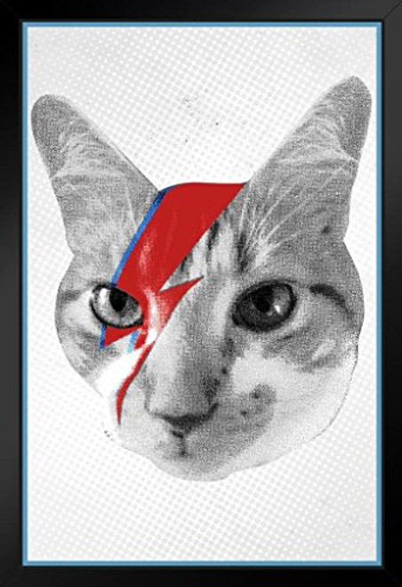 Kitty Stardust Cat Ziggy Stardust Graffiti Black Wood Framed Art Poster 14x20