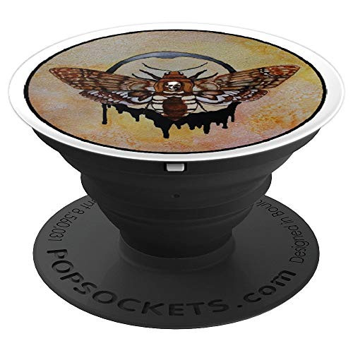 Death's Head Hawk Moth