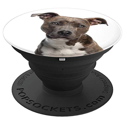 Cute Pit Bull Dog With Floppy Ears On White PopSockets Grip and Stand for Phones and Tablets