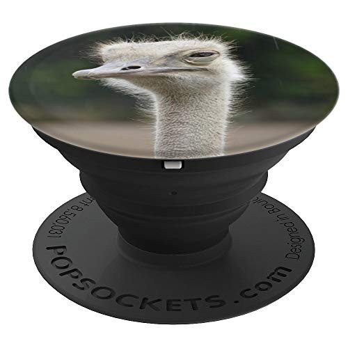 Ostrich Animal Zoo Rain Bird Head Flightless Bird PopSockets Grip and Stand for Phones and Tablets