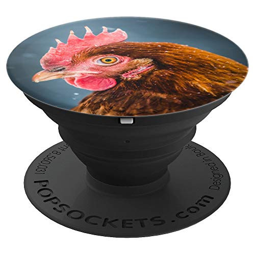 Realistic Picture Brown Chicken Hen Head Closeup On Blue PopSockets Grip and Stand for Phones and Tablets