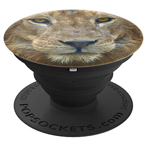 Lion Realistic Lion Head PopSockets Grip and Stand for Phones and Tablets Lion Realistic Lion Head PopSockets Grip and Stand for Phones and Tablets