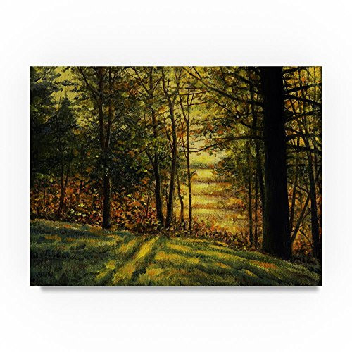 Trademark Fine Art Autumn Light by John Morrow, 18x24-Inch Canvas Wall Art Trademark Fine Art Autumn Light by John Morrow, 18x24-Inch Canvas Wall Art