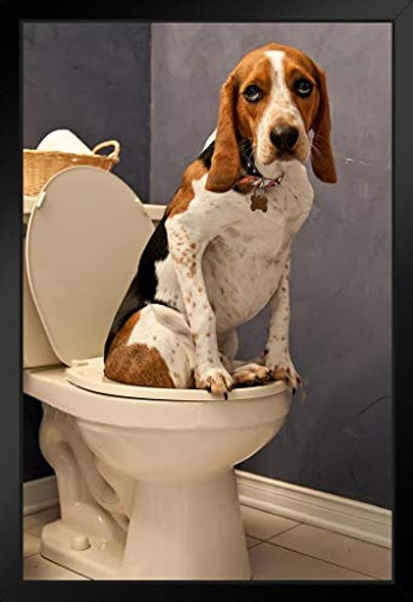 Dog Sitting On Toilet Funny Bathroom Humor Photo Black Wood Framed Art Poster 14x20 Dog Sitting On Toilet Funny Bathroom Humor Photo Black Wood Framed Art Poster 14x20