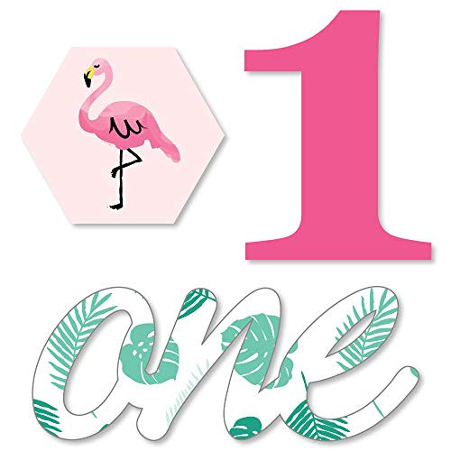1st Birthday Flamingo - Party Like a Pineapple - DIY Shaped First Birthday Party Cut-Outs - 24 Count 1st Birthday Flamingo - Party Like a Pineapple - DIY Shaped First Birthday Party Cut-Outs - 24 Count