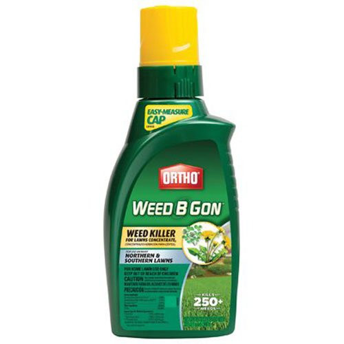 Ortho Weed B Gon Weed Killer for Lawns Concentrate, 32-Ounce