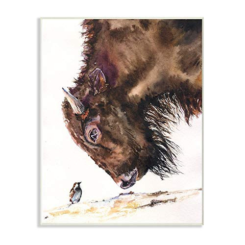 Stupell Industries Bird and Large Buffalo Animal Watercolor Painting Wall Plaque, 10 x 15, Multi-Color