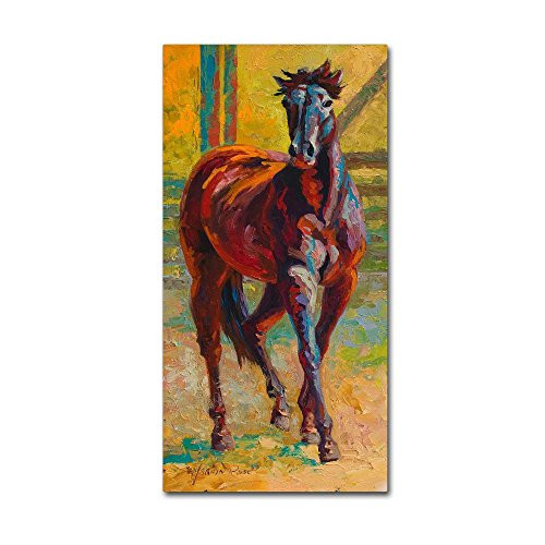 Corral Boss by Marion Rose, 10x19-Inch Canvas Wall Art