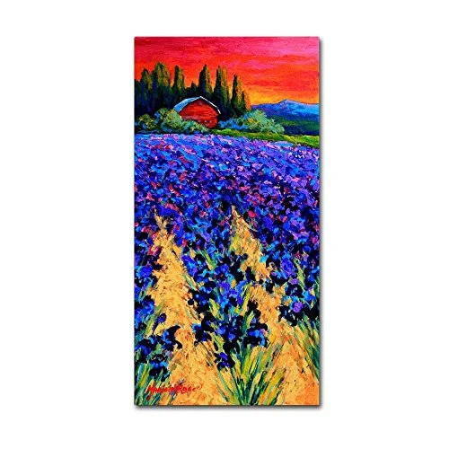 Iris Farm by Marion Rose, 10x19-Inch Canvas Wall Art