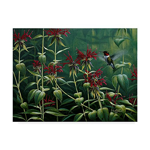 Hummingbird And Monarda by Wilhelm Goebel, 14x19-Inch