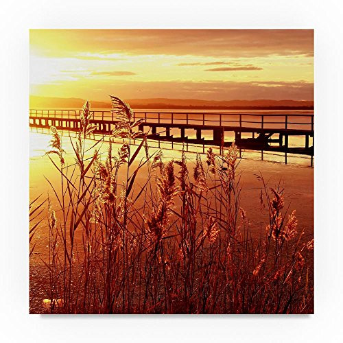 Trademark Fine Art Catching Light by Beata Czyzowska Young, 24x24-Inch Canvas Wall Art Trademark Fine Art Catching Light by Beata Czyzowska Young, 24x24-Inch Canvas Wall Art
