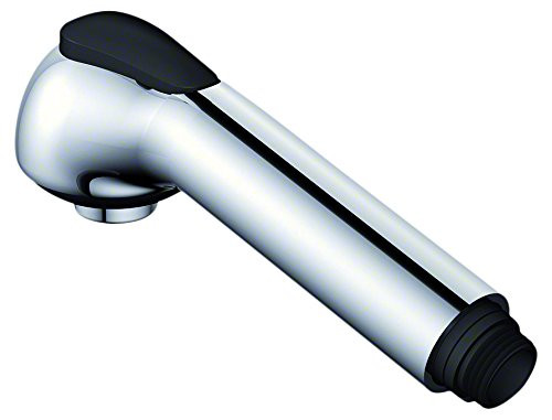 Danze DA523026N Melrose Pull-Out Kitchen Faucet Spray Head Replacement, Chrome