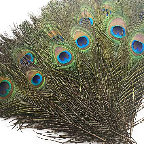 Piokio 10 pcs Natural Peacock Feathers in Bulk 10"-12" for Wedding Crafts Christmas Decorations