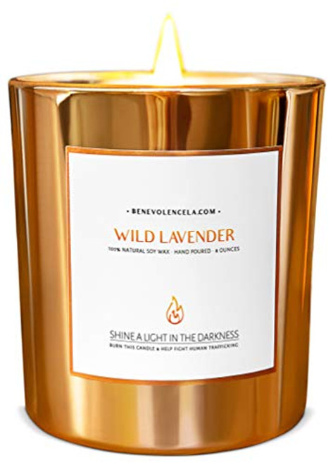 Premium Wild Lavender Scented Candles, Highly Scented Lavender Candle, All Natural Soy Candles Scented, 8 oz | 45 Hour Long Lasting Soy Candle, Relaxing Aromatherapy Candles in Rose Gold Glass Jar