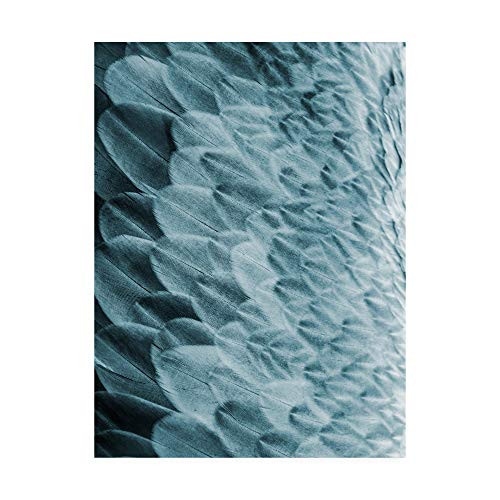 Trademark Fine Art IC01350-C1419GG Volture Design Fabrikken, 14x19, Multiple